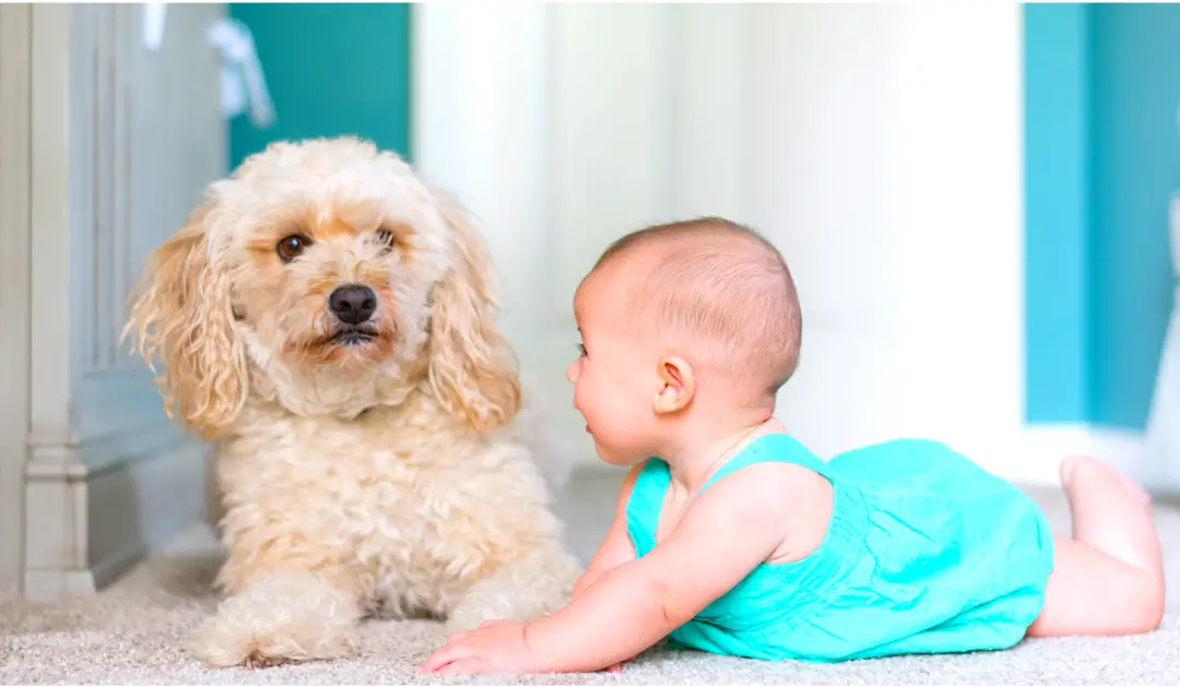 Cute baby with dog
