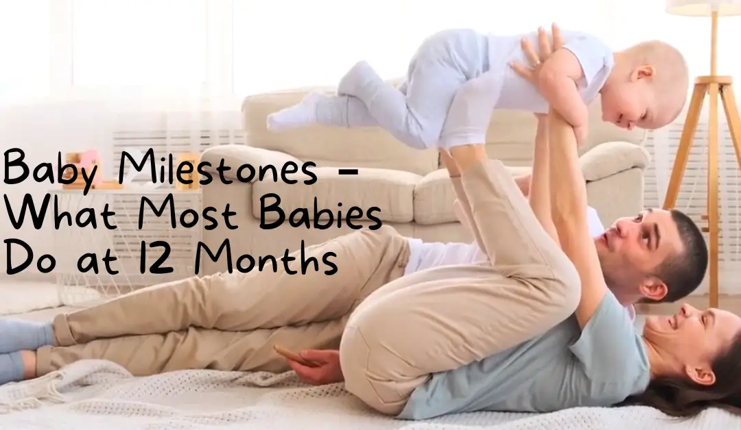 Baby Milestones – What Most Babies Do at 12 Months