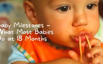 Baby Milestones – What Most Babies Do at 18 Months