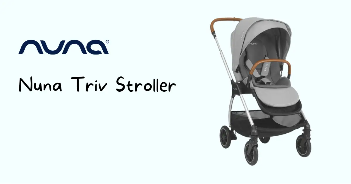Gray color of the Nuna Triv stroller