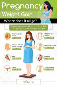 Pregnancy Weight Gain Illustration Guide