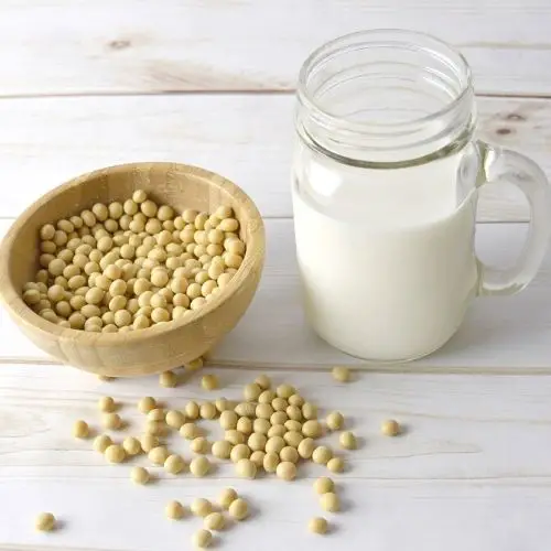 Soymilk in a glass mug and soybeans