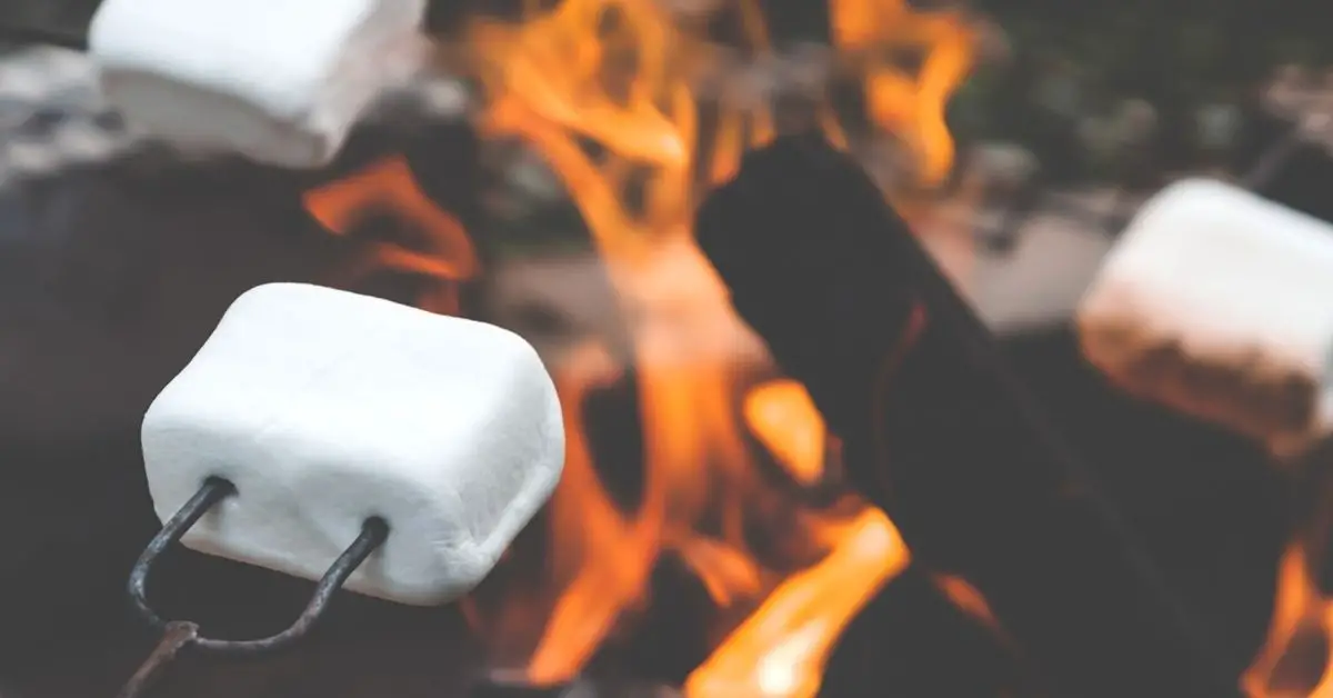 Toasting marshmallows at a campfire