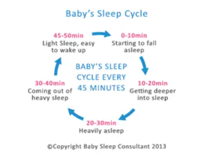 Baby Sleep Cycle chart courtesy of Baby Sleep Consultant 2013