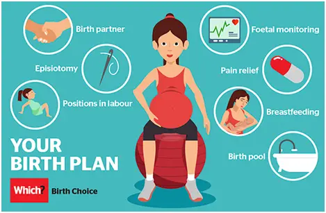 Birthing Plan infographics