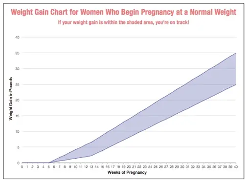 Pregnancy Weight Gain Chart Guide